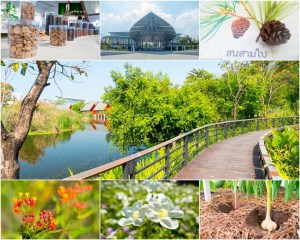 %e0%b8%a3%e0%b8%b8%e0%b8%822