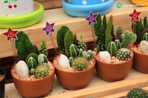 %e0%b9%84%e0%b8%a1%e0%b9%891