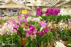 %e0%b9%84%e0%b8%a1%e0%b9%892