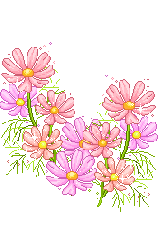 flower-animation-028